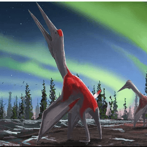 رسم تقريبي للحيوان الذي أعلن الكشف عنه مؤخرا.