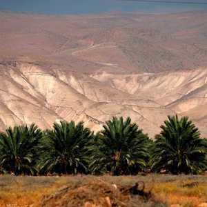 تشكل الأغوار ثلث مساحة الضفة الغربية المحتلة.