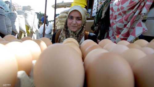 الحكومة العراقية قررت وقف استيراد البيض من تركيا