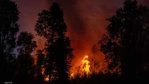 حرائق غابات في إندونيسيا