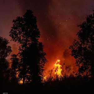 حرائق غابات في إندونيسيا