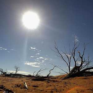 يزداد تلوث الهواء سوءًا مع ارتفاع درجات الحرارة