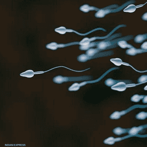 الدراسة شملت عينة ضخمة