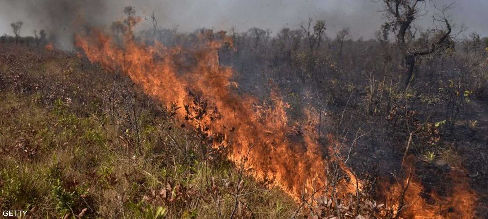 حرائق الغابات تثير مخاوف عالميةو تدق ناقوس الخطر.
