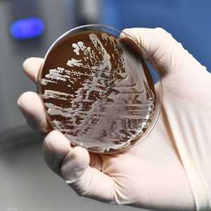 البكتيريا تلجأ لأسلوب التخفي وتغيير شكلها لخداع المضادات.