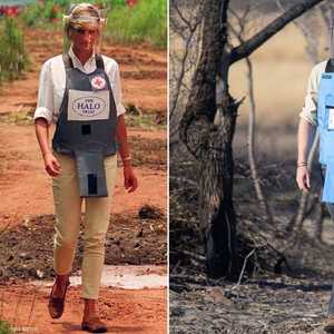 هاري وديانا.. التاريخ يعود