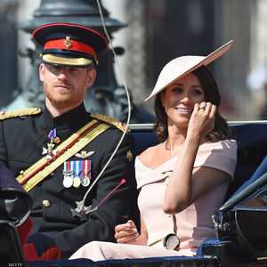 هاري وميغان.. معاناة ملكية