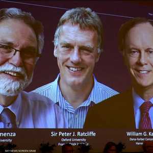 3 علماء يتقاسمون جائزة نوبل للطب