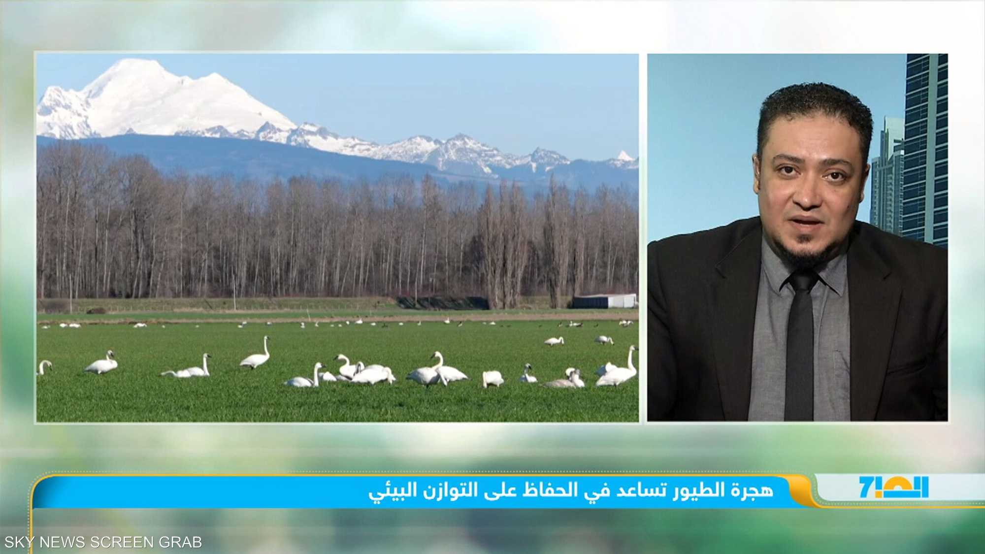 هجرة الطيور تساعد في الحفاظ على التوازن البيئي