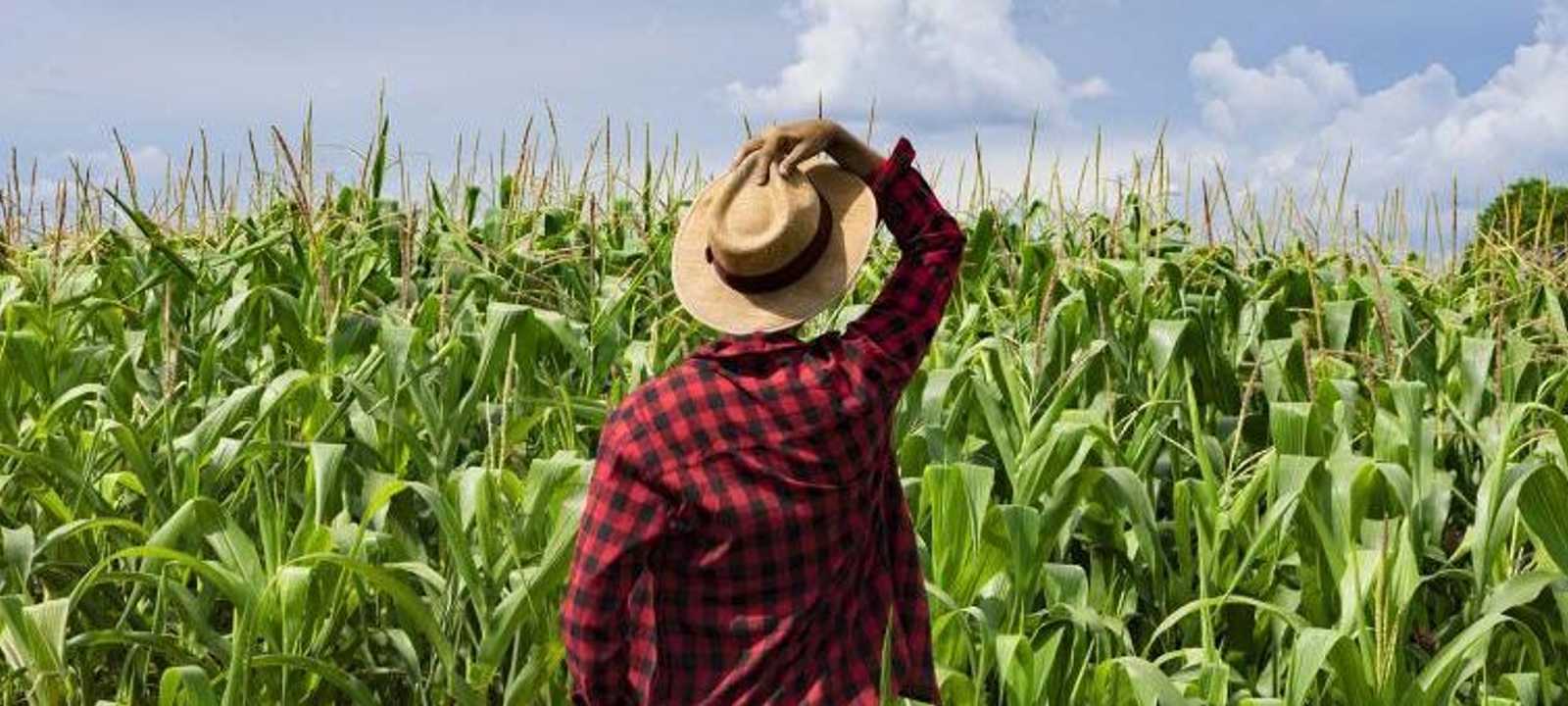 رئيس البلدية اتهم الفاعلين بابتزازه ماليا.