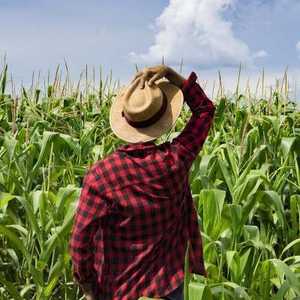 رئيس البلدية اتهم الفاعلين بابتزازه ماليا.