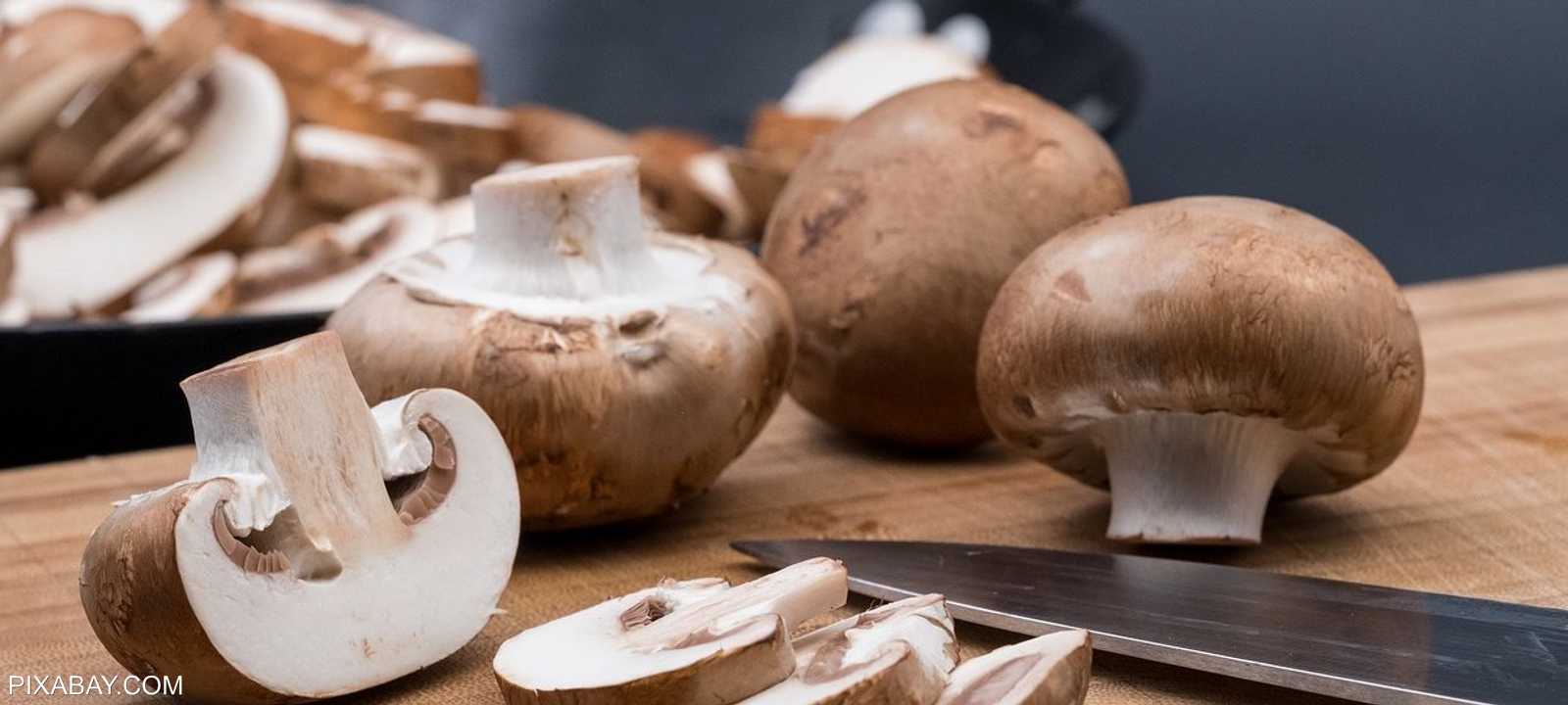 لتناول الفطر فائدة كبيرة لصحة الإنسان