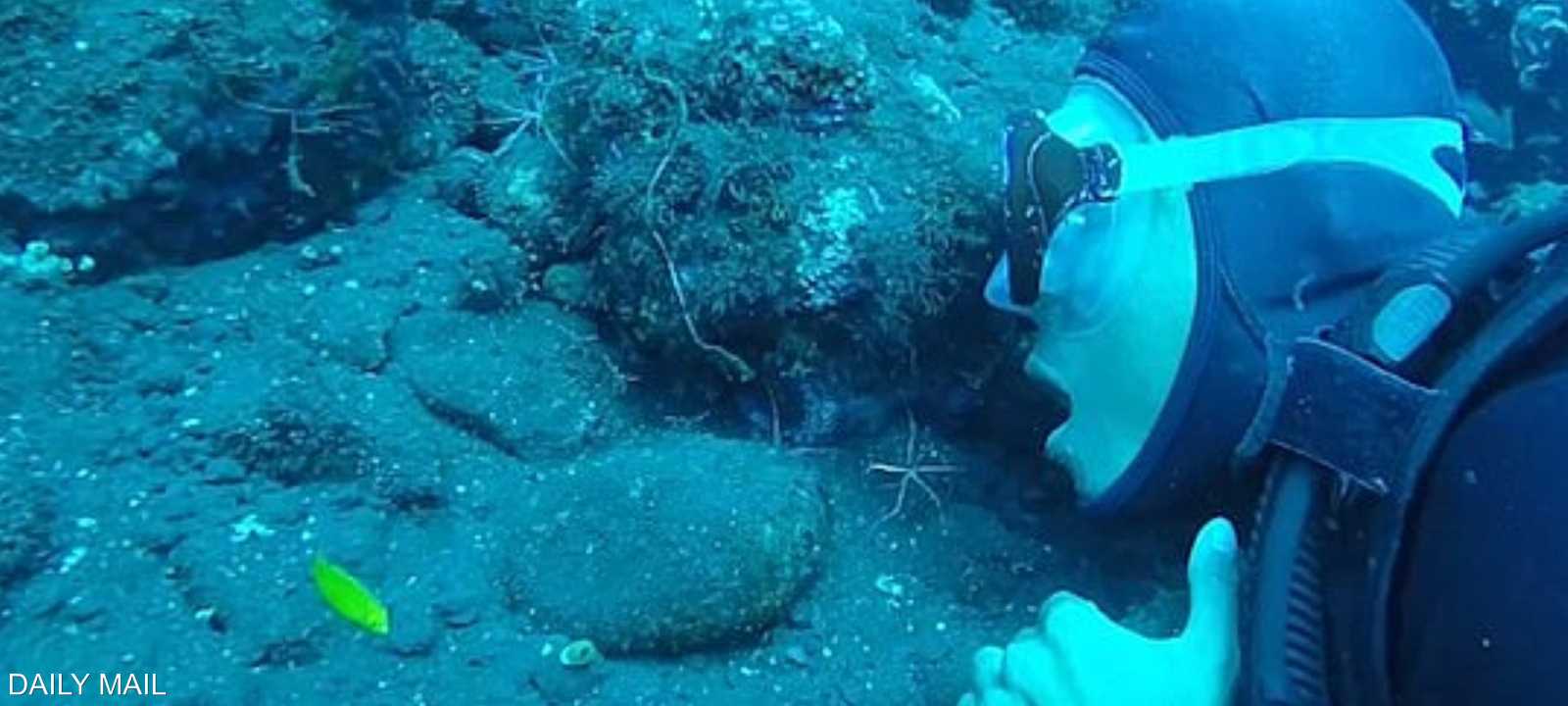 تنظيف الأسنان بواسطة عناكب البحر