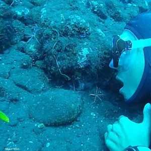 تنظيف الأسنان بواسطة عناكب البحر