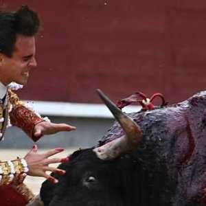 حالة غونثالو كاباييرو حرجة للغاية بعد أن نطحه ثور هائج.