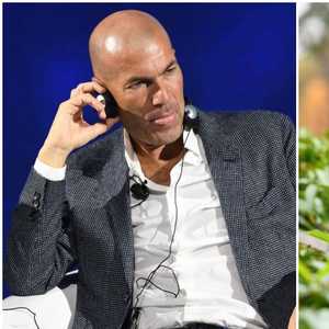 زيدان وبوغبا