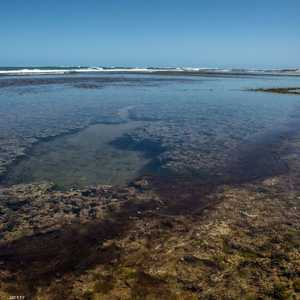 تخشى السلطات المحلية أن يصل التلوث إلى مجمع بورتو غالينياس