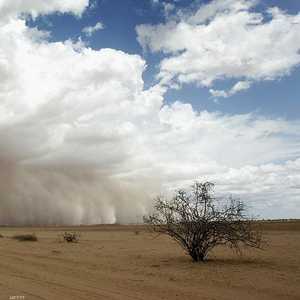 التغير المناخي يعصف بالعالم وجهود دولية لمكافحته