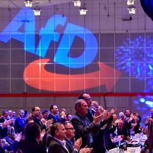 حزب البديل من أجل ألمانيا. أرشيفية