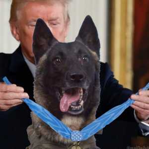 الصورة المعدلة أثارت استغراب وانتقادات من الكثيرين