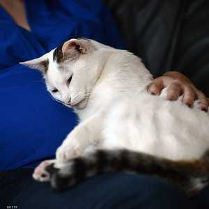 الدراسة أجريت في كوريا الجنوبية