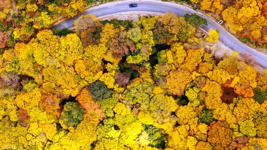 صورة جوية تُظهر طريقا بالقرب من قرية مارتكوبي خارج تبليسي، عاصمة جورجيا، وقد زينتها ألوان الخريف.