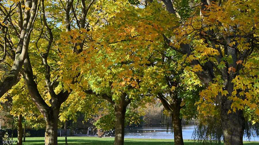 أشجار متلألئة بألوان الخريف تغمرها الشمس في استكنلدا، وذلك في اليوم الذي تغيرت فيه عقارب الساعة من التوقيت الصيفي إلى الشتوي في 27 أكتوبر.