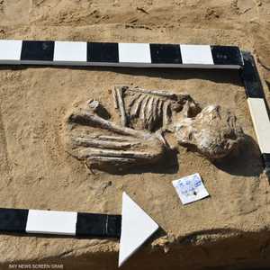 أعمال البعثة لهذا الموسم جاءت بعد توقف 20 عاما.