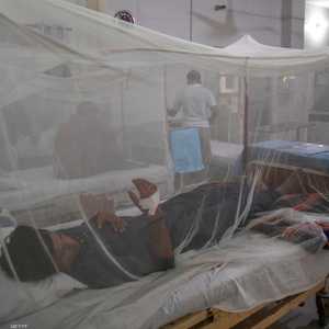 حمى الضنك مرض غير قاتل لكنه يسبب آلاما مبرحة