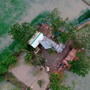 معظم الضحايا توفوا نتيجة سقوط الأشجار على منازلهم.