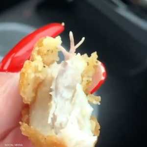 قدم دجاج داخل قطعة لحم مقلية