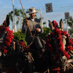 ركوب الحمير مصدر متعة للسياح في إسبانيا
