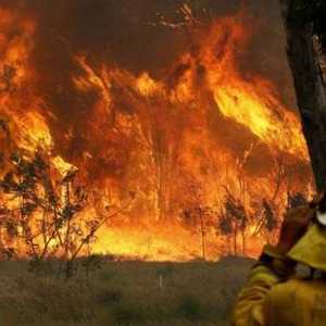 تسببت النيران في احتراق مئات المنازل