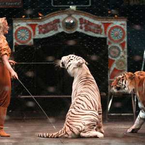 خضع هذا القرار في باريس لمناقشات خلال السنتين الماضيتين.