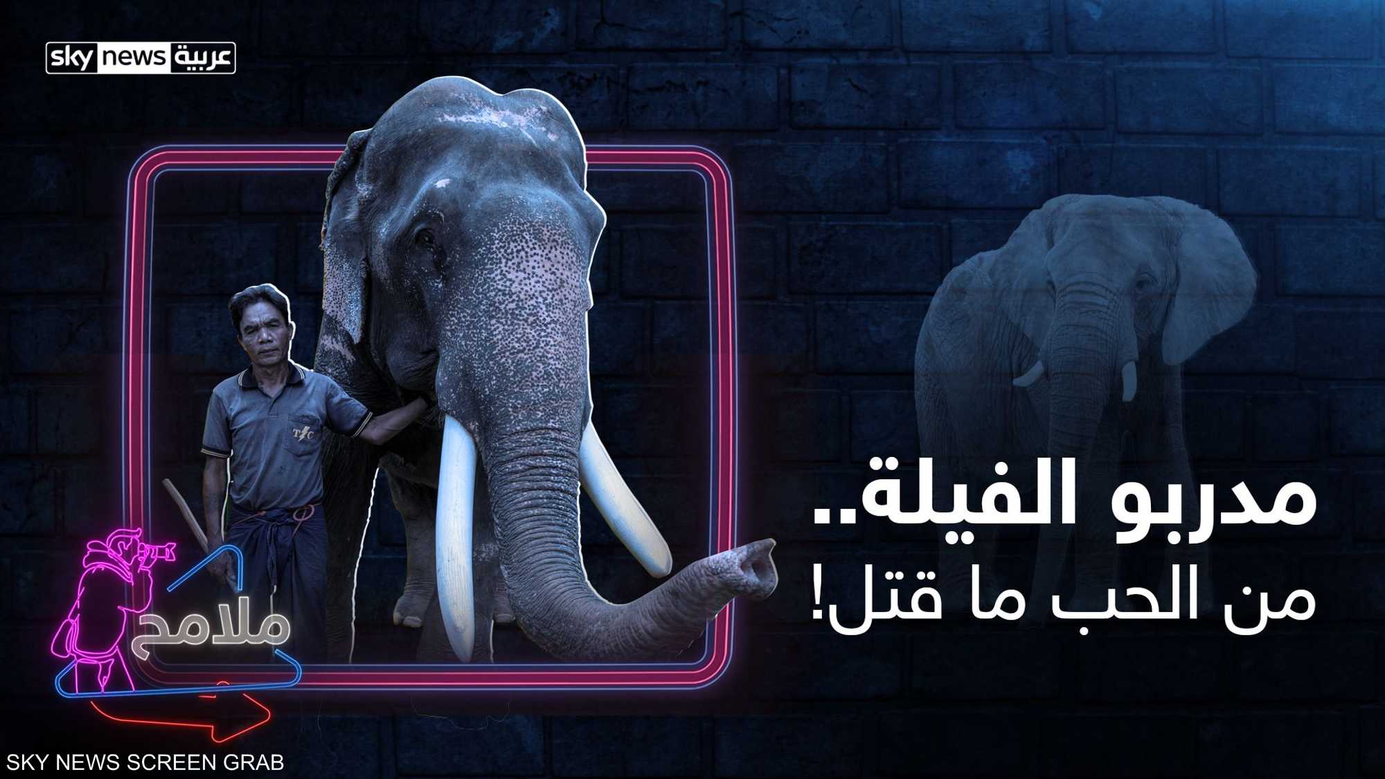 أسرار "ترويض" الفيلة