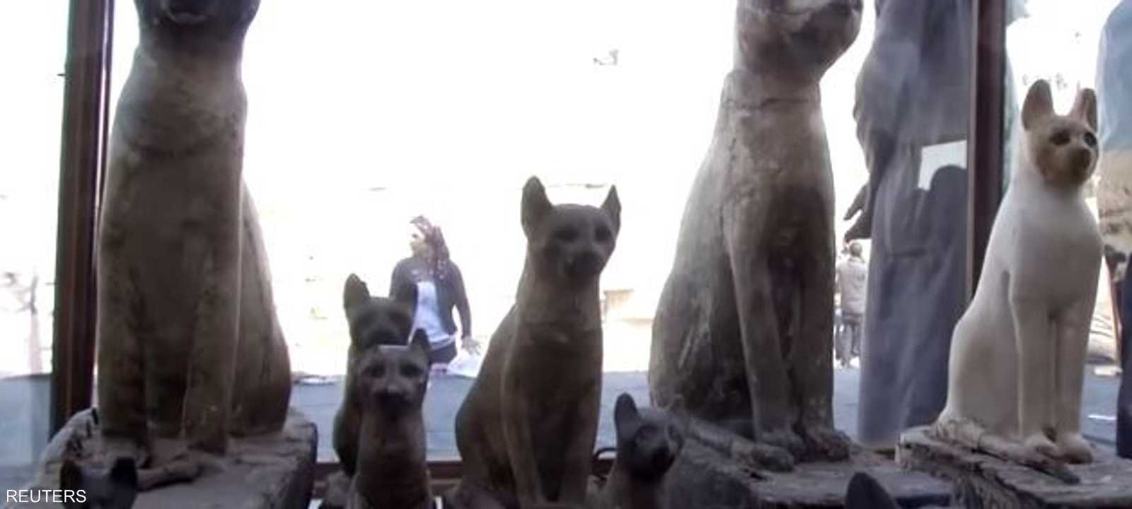 مومياوات على أشكل قطط