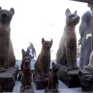 مومياوات على أشكل قطط