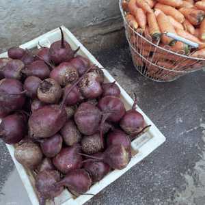 الشمندر والجزر، والسبانخ تساعد بالوقاية من أمراض الشتاء