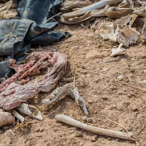 إحدى المقابر الجماعية في سنجار