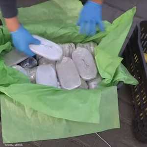 الحشيش تم إخفاؤه وسط شحنة تفاح