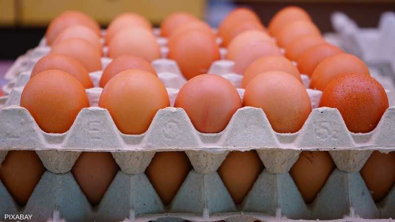Unexpected drop in "poultry prices" and eggs before Eid: Learn about the new details and prices