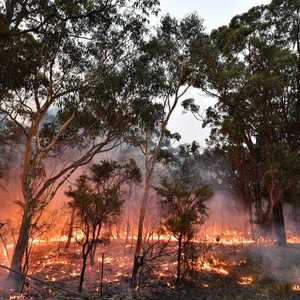 الحرائق تثير مخاوف بيئية كبيرة