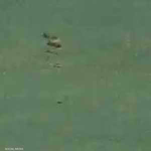 الأفعى فاجأت الجميع واقتحمت الملعب