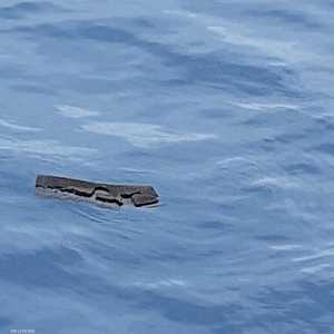 سلطات تشيلي تؤكد العثور على حطام الطائرة المفقودة