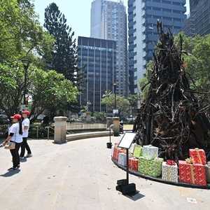 الشجرة أقيمت بشراكة مع الصليب الأحمر