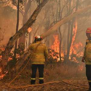 رجال الإطفاء يكافحون أكثر من 100 حريق بنيو ساوث ويلز