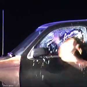 الكلب القافز يقبض على الهارب من الشرطة