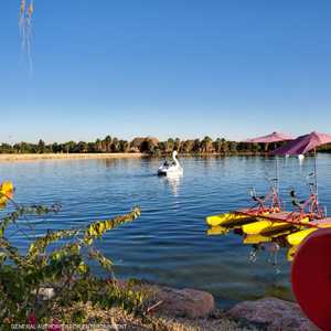 تحتوي الحديقة القريبة من الرياض على بحيرة