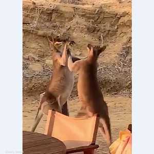 المعركة انتهت دون فائز وخاسر