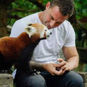 ستابلز نقل بعض الحيوانات إلى منزله لإنقاذها من الحرائق